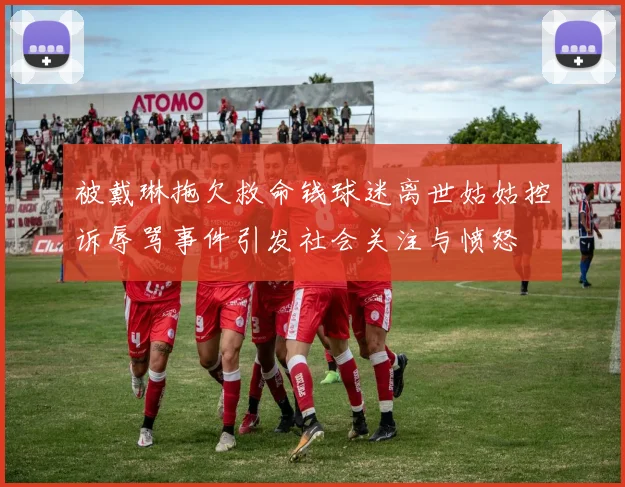 被戴琳拖欠救命钱球迷离世姑姑控诉辱骂事件引发社会关注与愤怒