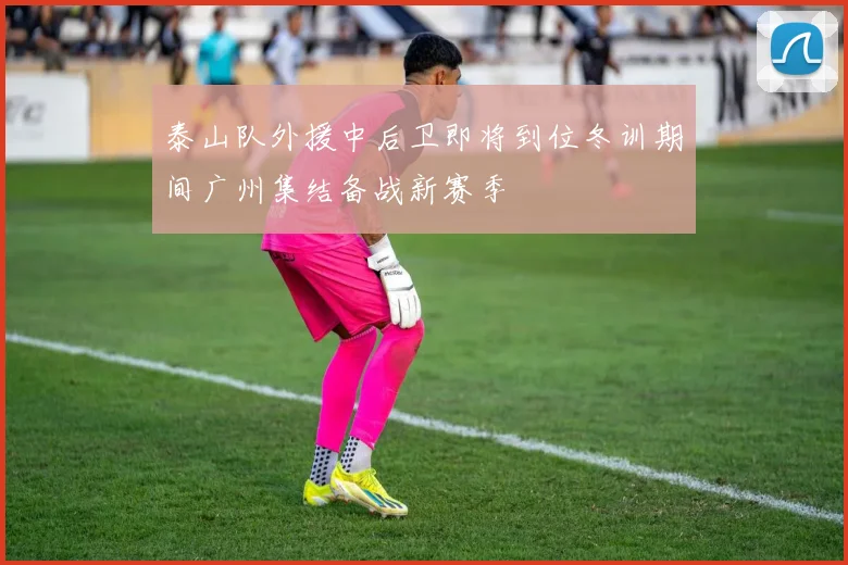 泰山队外援中后卫即将到位冬训期间广州集结备战新赛季